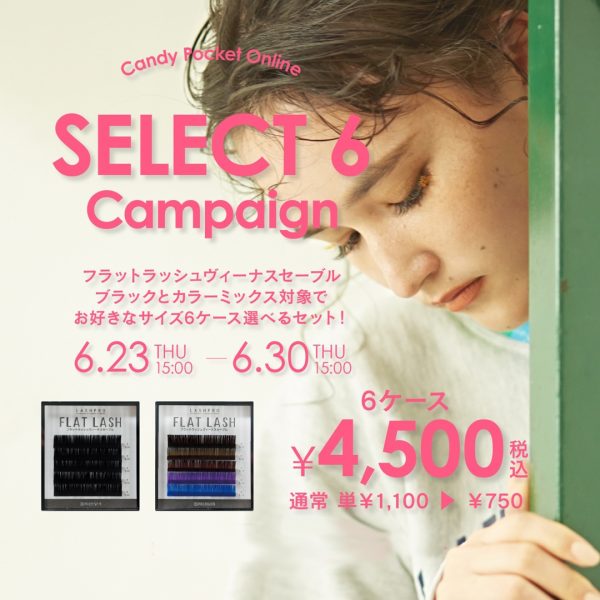 【6/23(木)15:00～】フラットラッシュヴィーナスセーブルよりどり６個4500円！セレクト６キャンペーン